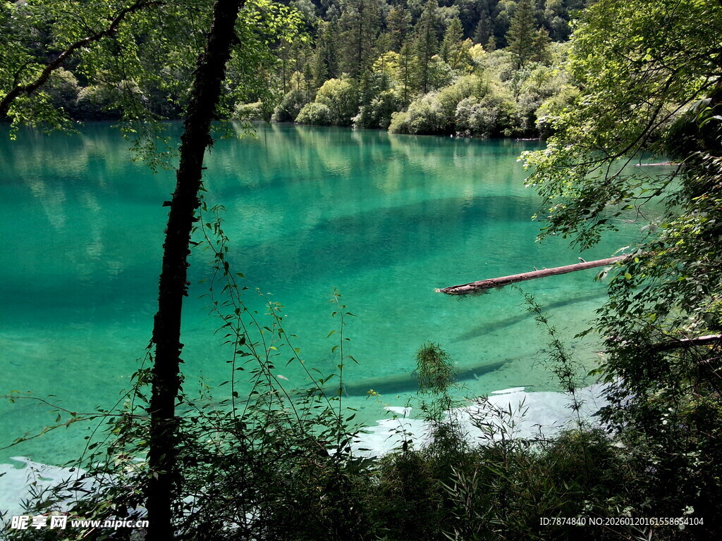 翠绿山林间的澄澈幽蓝湖水