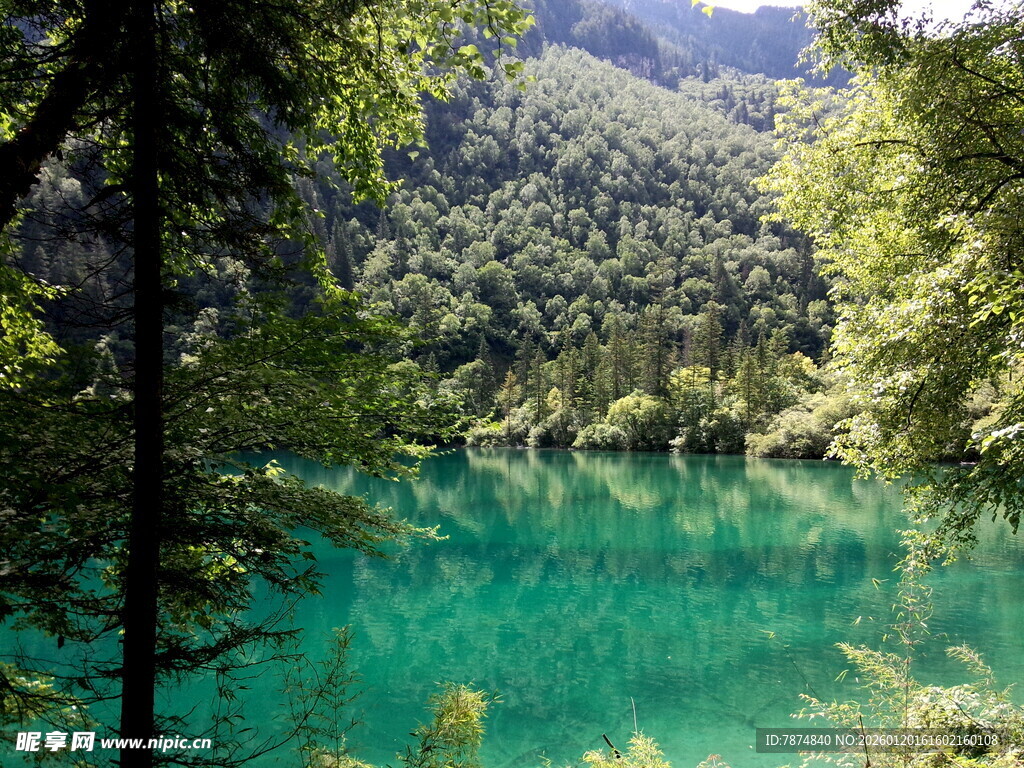 翠绿山林间的澄澈碧湖