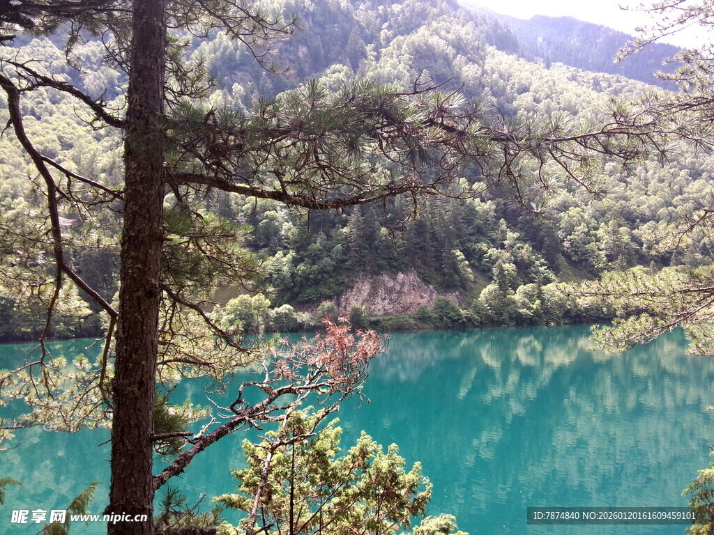 山间碧湖映翠林