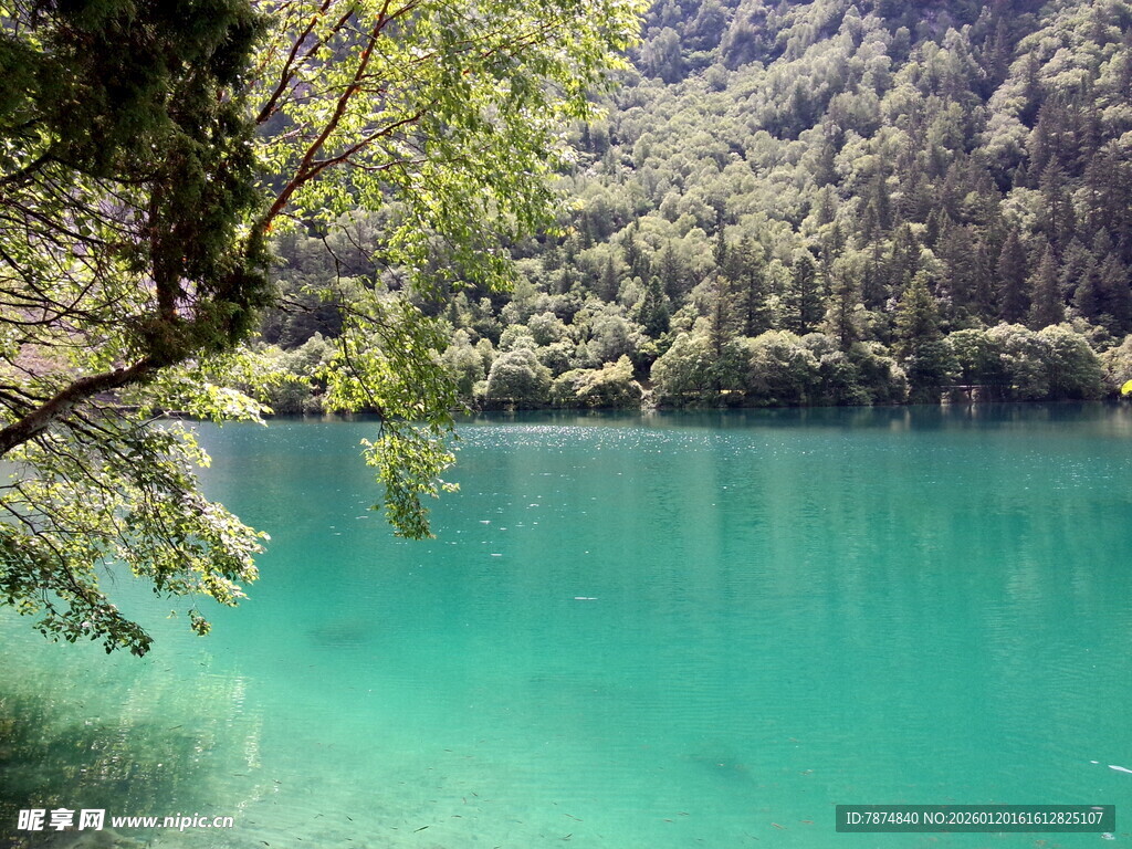 翠绿山林间的澄澈湖水