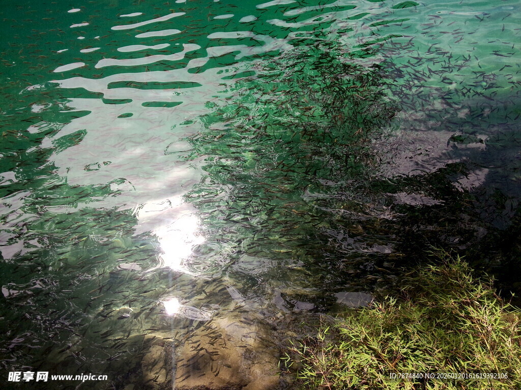 清澈湖水与水底景致