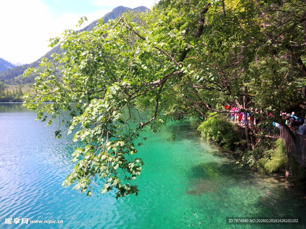 青山绿水间的秀丽湖景