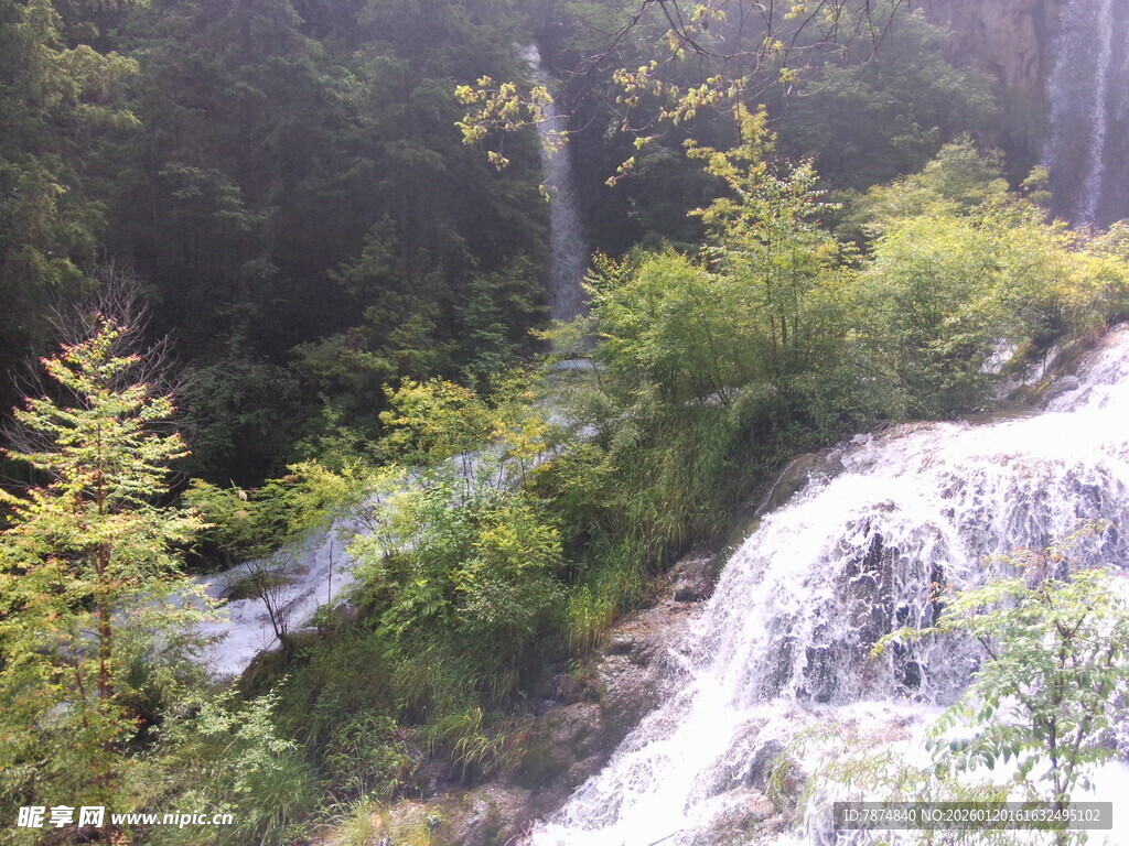 山间瀑布旁的葱郁绿植