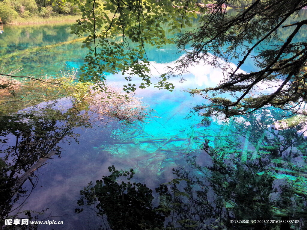 梦幻蓝绿色清澈湖水美景