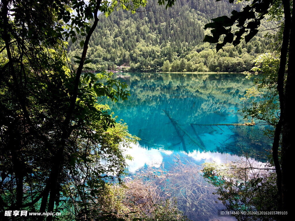 森林中的梦幻蓝湖