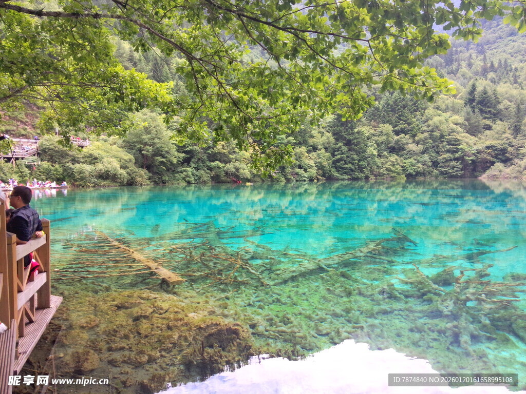清澈湖畔的游人观景时刻