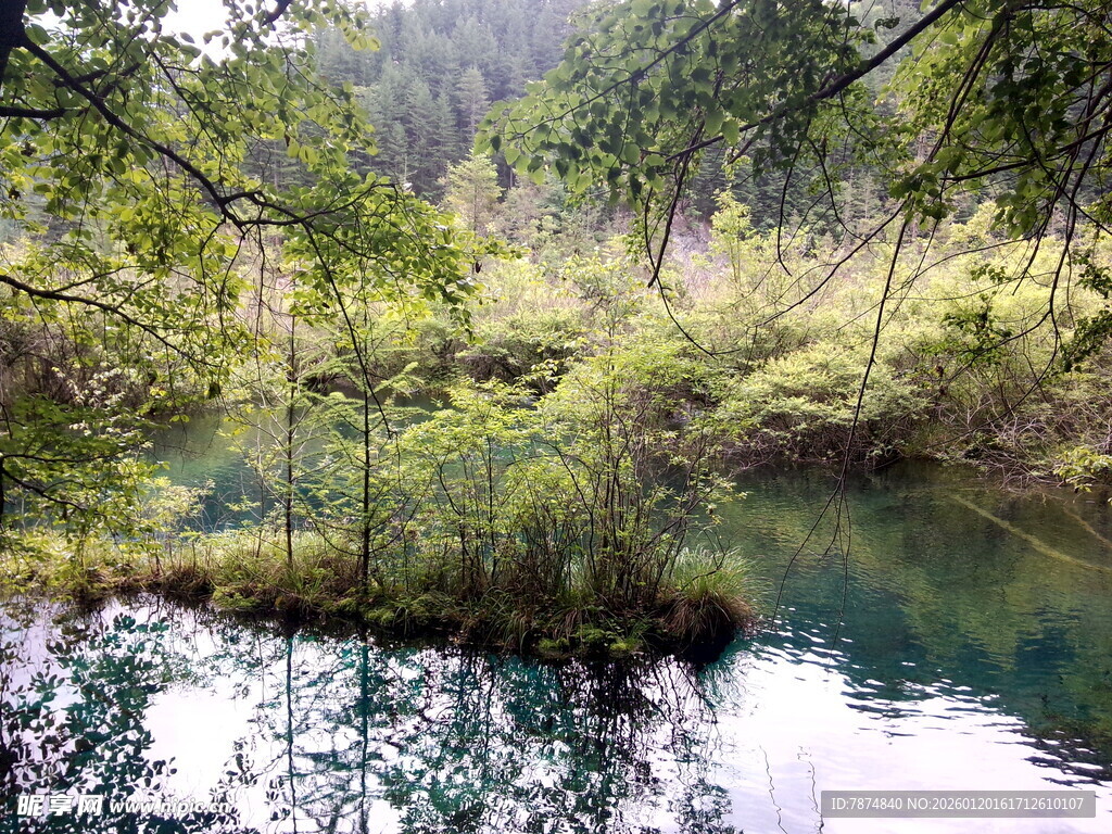 山林间的静谧清澈水域