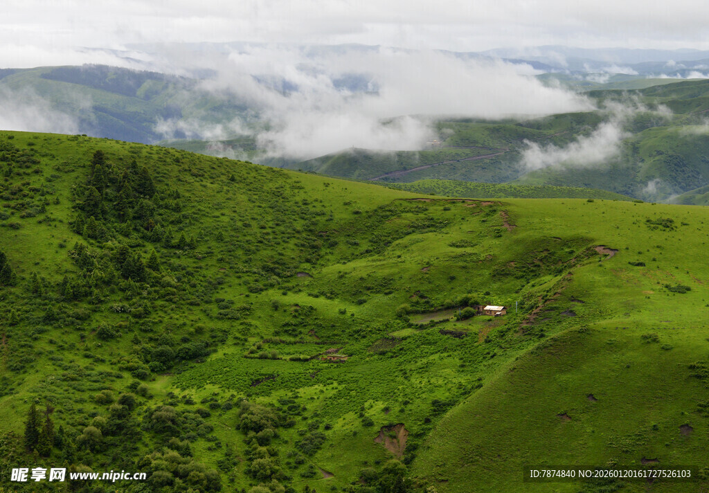 山间绿野云雾缭绕美景