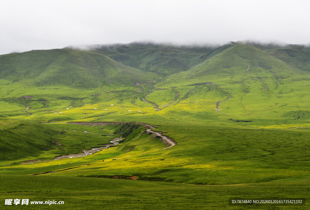 山间绿野中的蜿蜒道路