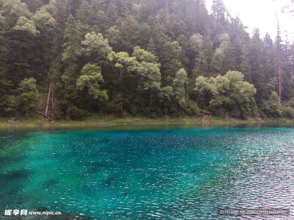 清澈蓝绿色湖水与茂密树林