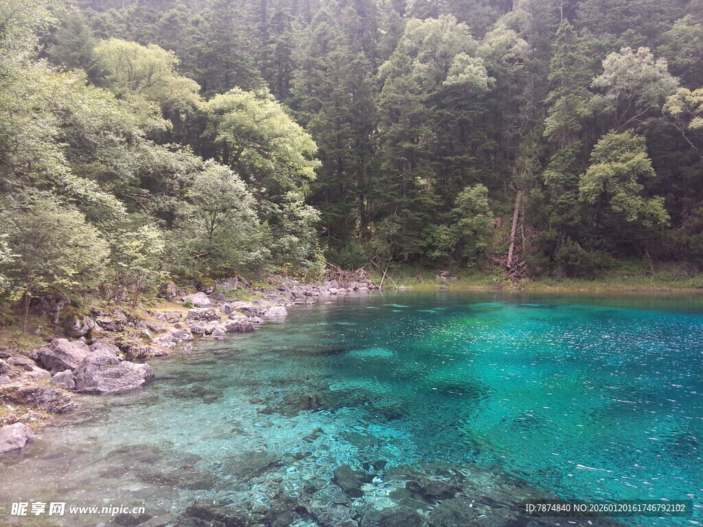 清澈碧绿的山林湖畔风光