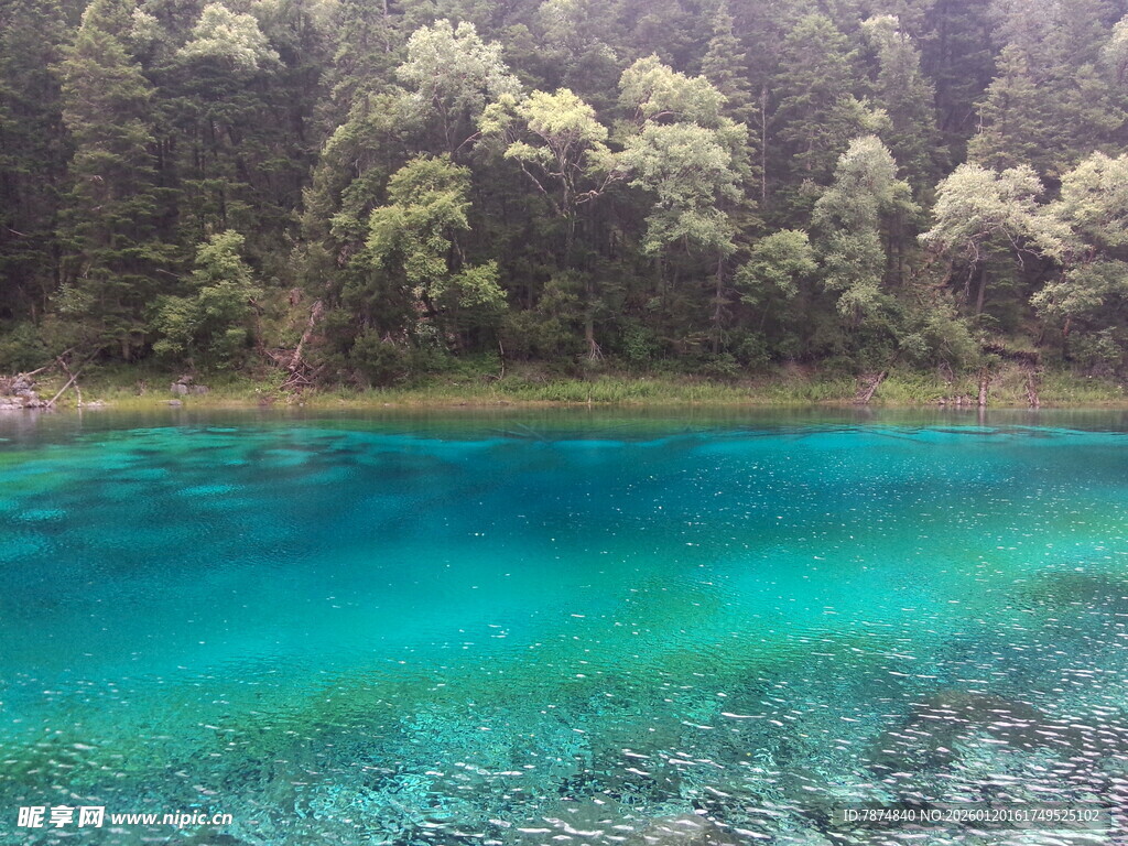 梦幻蓝湖 森林环绕之美景
