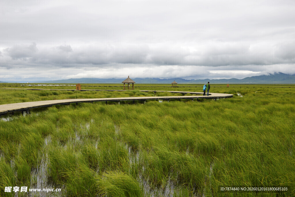 草原木栈道上的自然美景