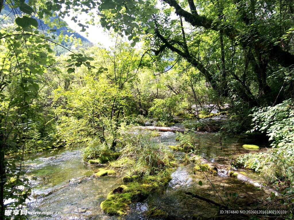 山林间的潺潺溪流