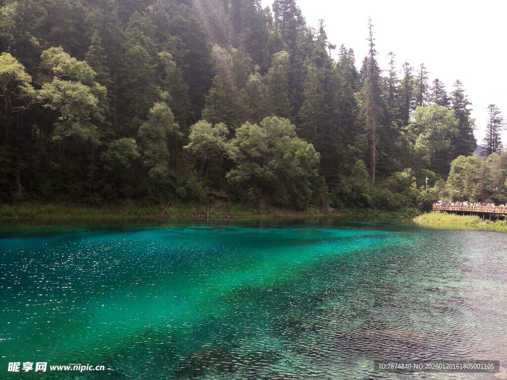 翠绿山林环绕的幽蓝湖水