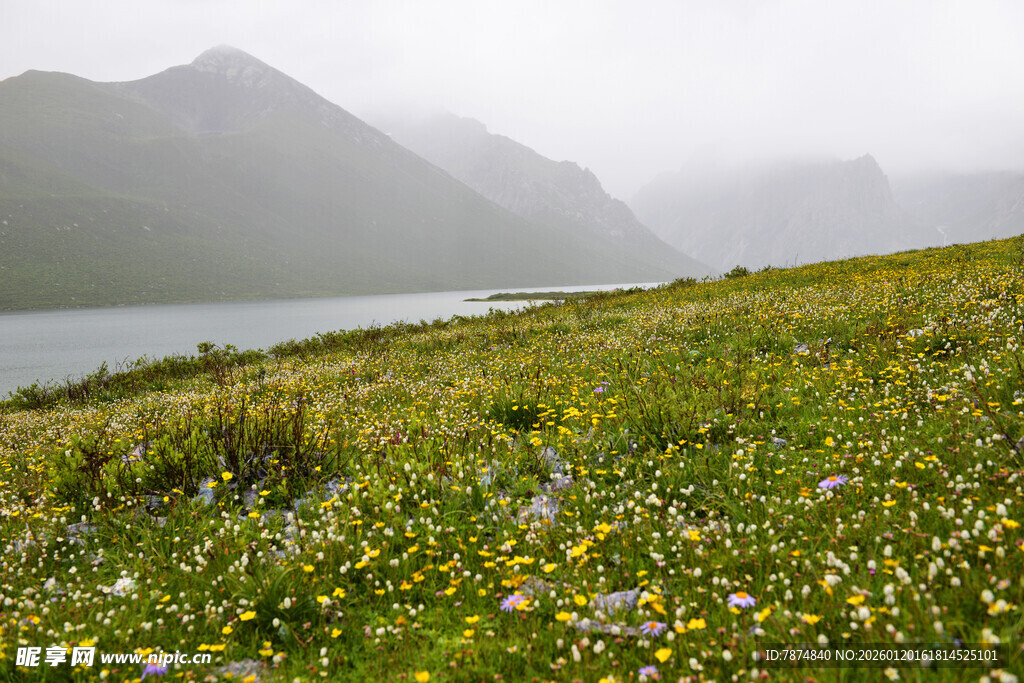 山间草地与远处朦胧山峦
