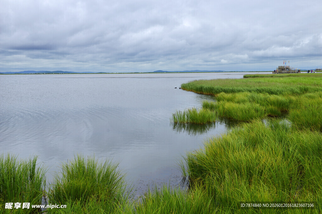 宁静湖畔的翠绿湿地风光