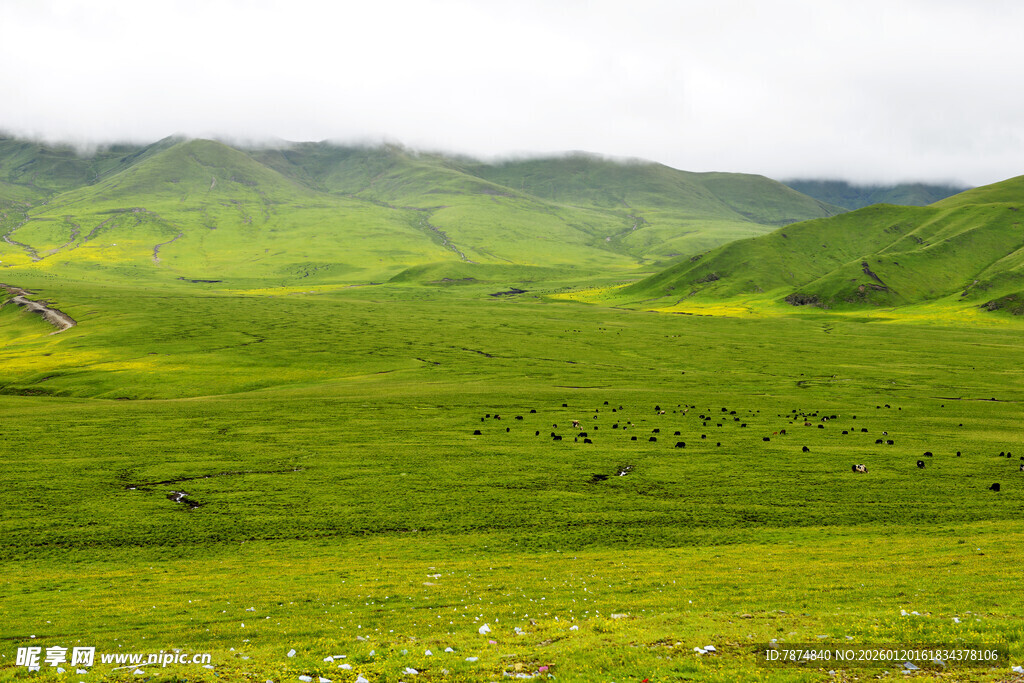 广袤绿野 山峦隐现