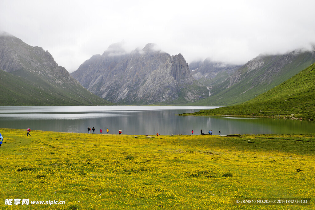 湖畔黄花与远山美景