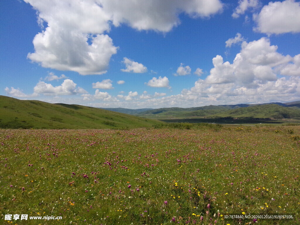 广袤草原蓝天白云美景