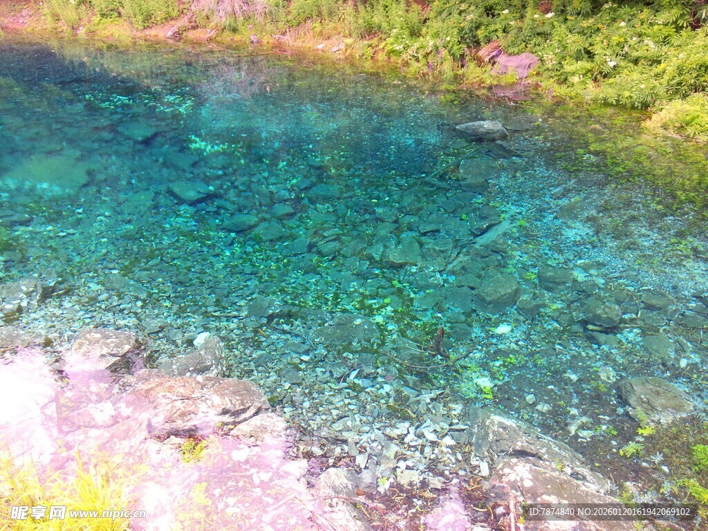 清澈碧绿的山间幽潭