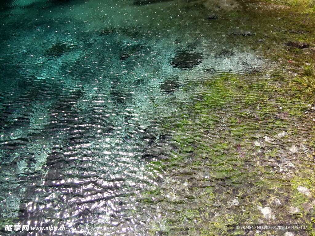 清澈水底的斑斓景象