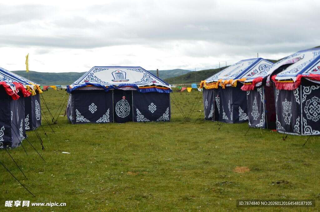 户外展示的多辆酷炫汽车