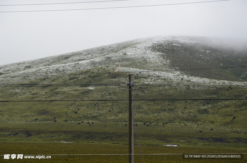 雪覆青山 孤电线杆挺立