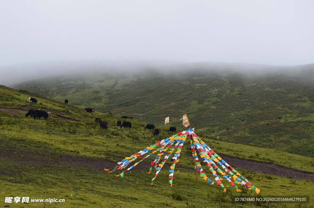 草原上的五彩经幡