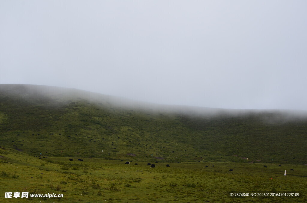 山间云雾缭绕的绿野风光