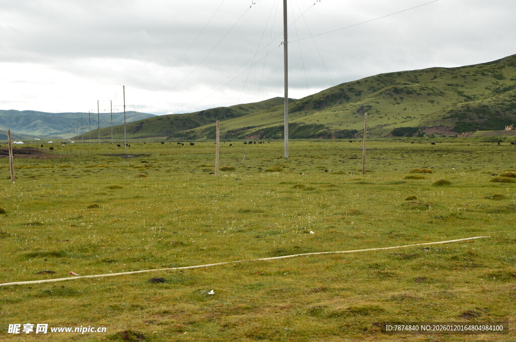 草原风光 远处矗立风力发电机