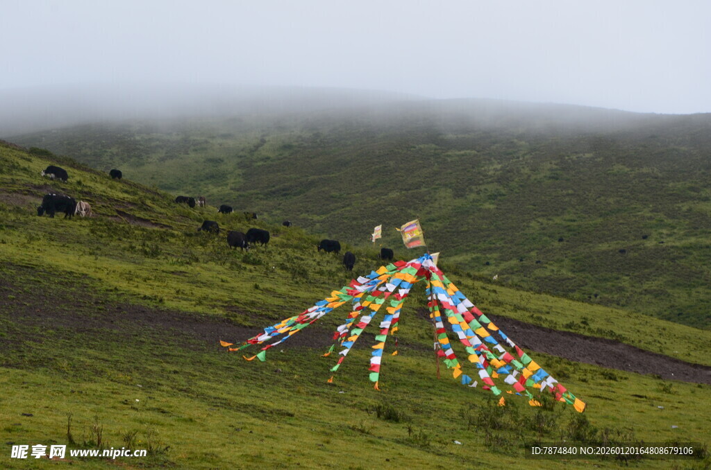 山间经幡 尽显藏地风情