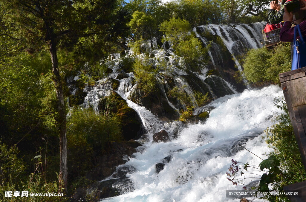 山间瀑布旁的美丽景致