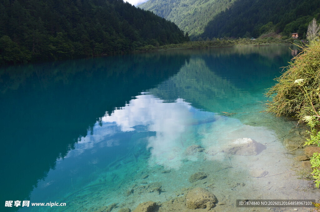 梦幻蓝湖映山林美景