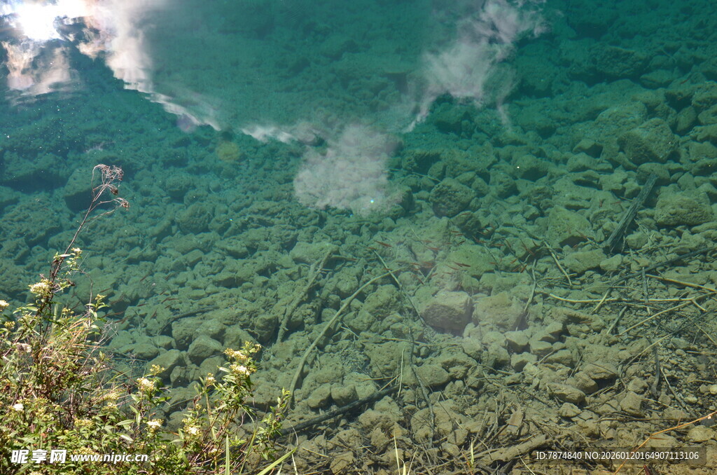 俯瞰翠绿山林美景
