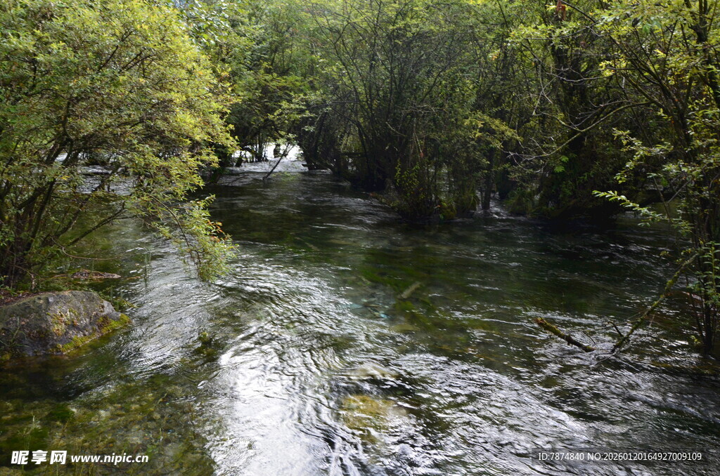 山间溪流 绿意盎然的景致