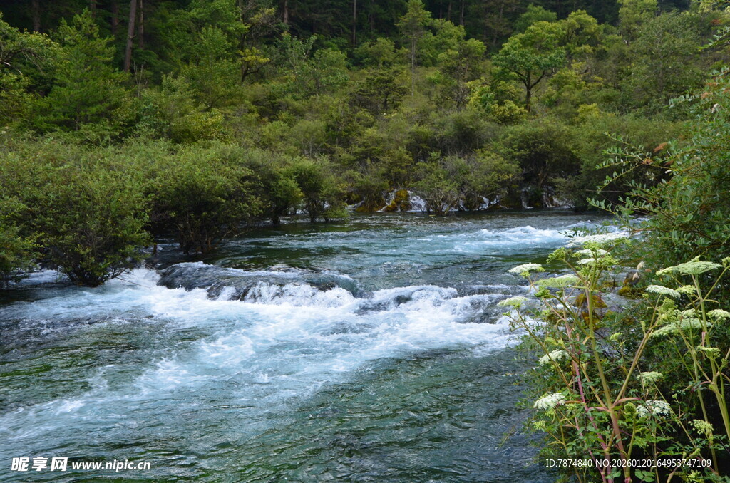 山间溪流 灵动自然之景