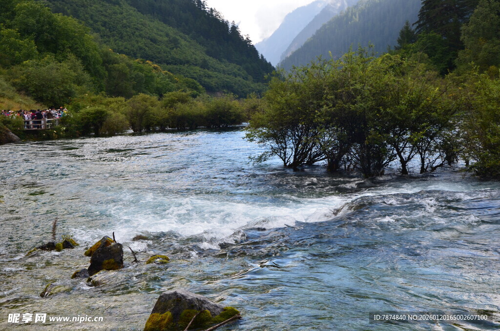 山间湍急溪流 绿意环绕