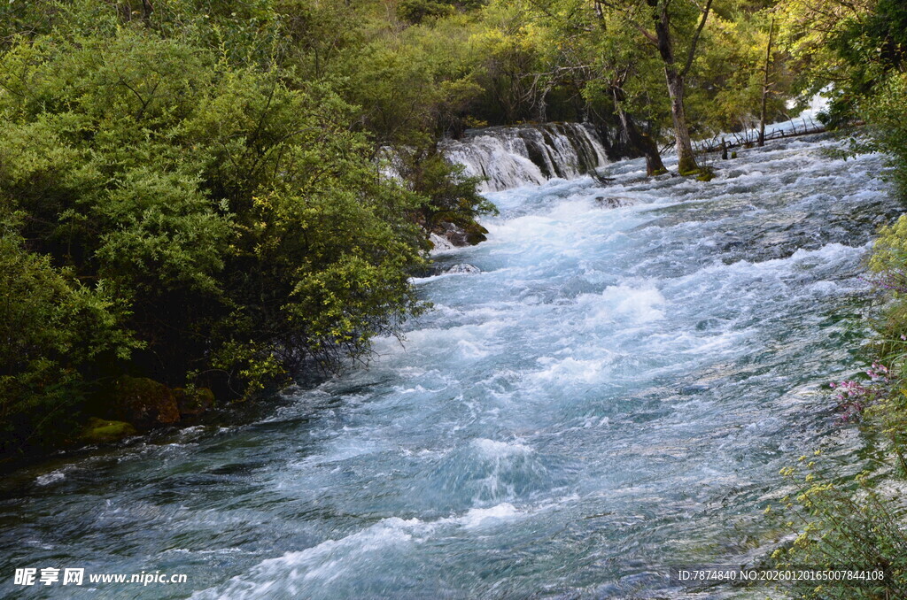 山间溪流潺潺 绿意环绕