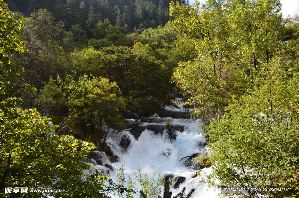 山间溪流穿林而过