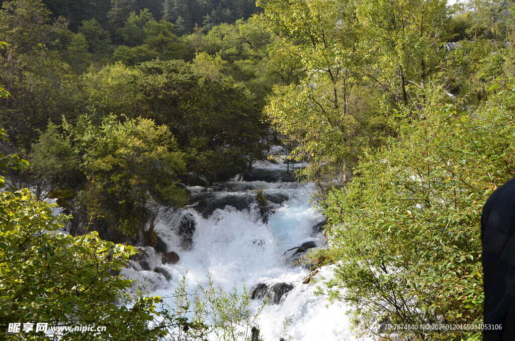 山间溪流穿林而过