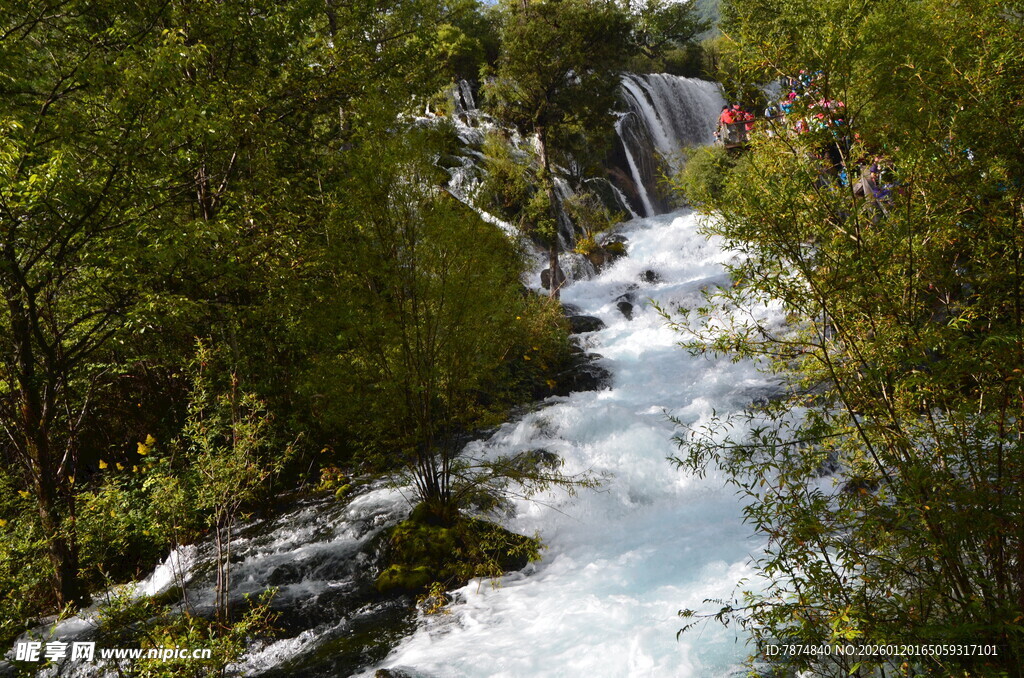 山间溪流穿行于葱郁树林