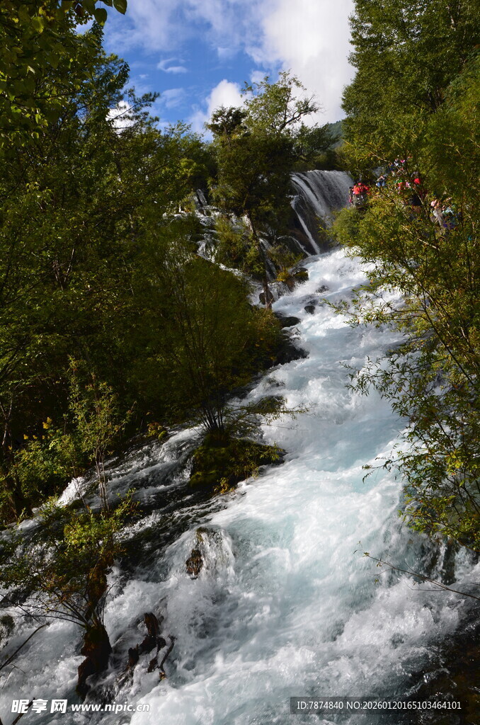 山间湍急溪流穿林而过