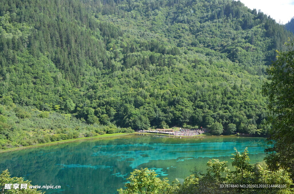翠绿山林间的幽蓝湖泊