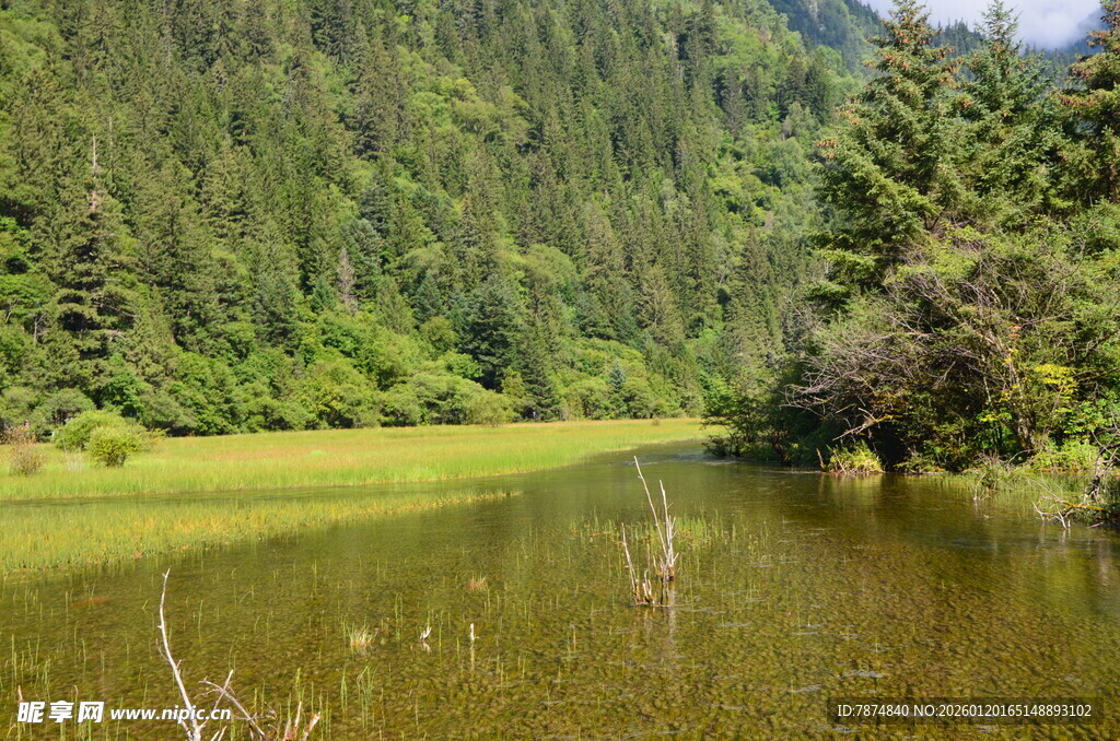 山间静谧绿水畔的自然景