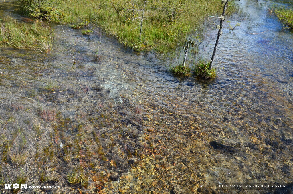 清澈溪流中的多彩石子