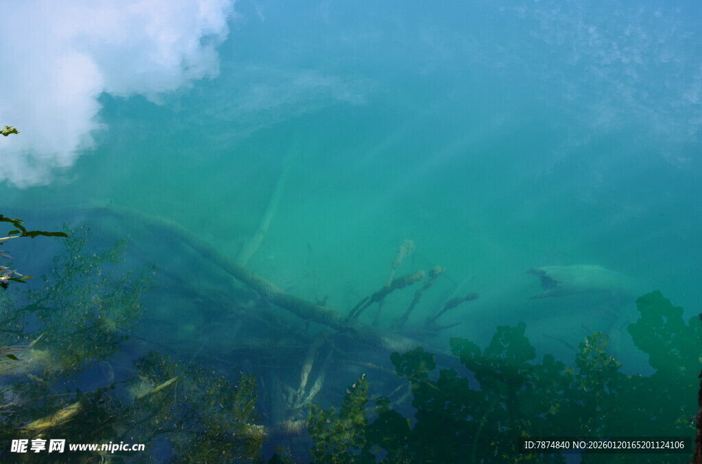 清澈水下世界景观