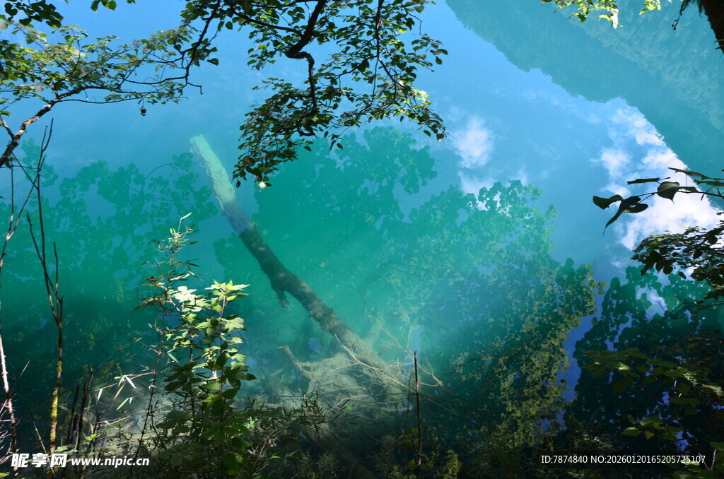 清澈湖水下的自然景象