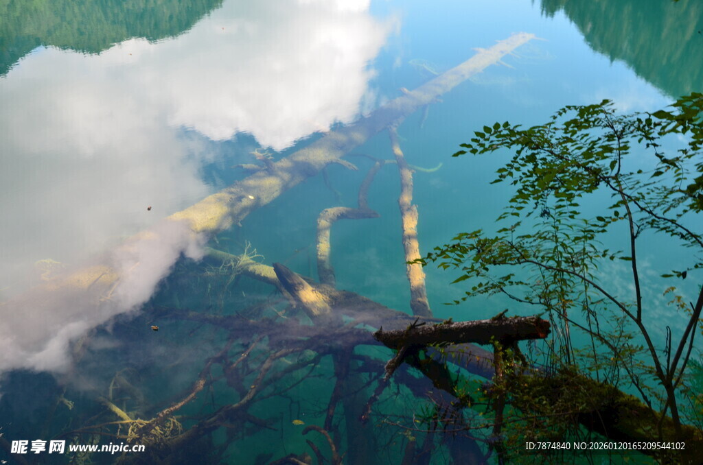 俯瞰山间绿意与云雾缭绕