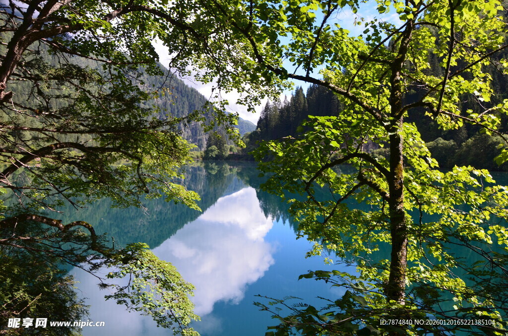林间幽蓝湖水景致